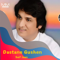 Dastane Gushen