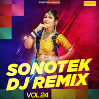 Sonotek Dj Remix Vol 24