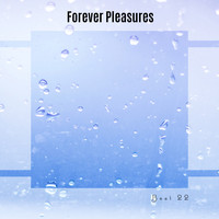 Forever Pleasures Best 22