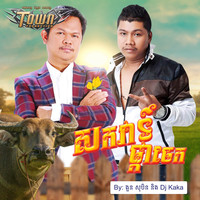 សកវាទ៍ផ្កាចេក