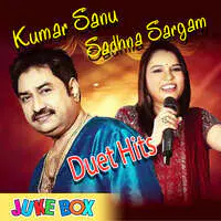 Kumar Sanu & Sadhna Sargam Duet Hits