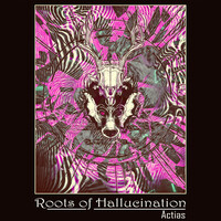 Roots of Hallucination