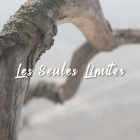 Les seules limites