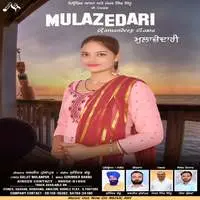Mulazedari