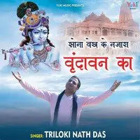 Sona Vekh Ke Nazara Vrindavan Ka