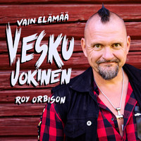 Olen suomalainen Song Download: Olen suomalainen MP3 Finnish Song Online  Free on 