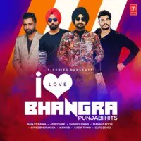 I Love Bhangra - Punjabi Hits