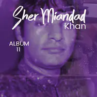 Sher Miandad Khan Qawwal, Vol. 11