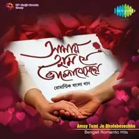 Amay Tumi Je Bhalobesechho Bengali Romantic Hits