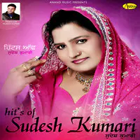 Hits Of Sudesh Kumari