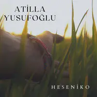 Heseniko