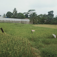 Kecapi Suling Sunda Mupu Kembang