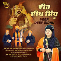 Veer Deep Sidhu