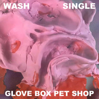 Glove Box Pet Shop