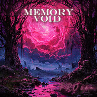 Memory Void