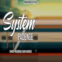 System Padenge