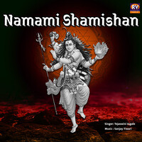 Namami Shamishan