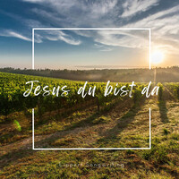 Jesus Du Bist Da