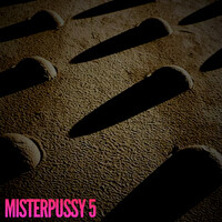 Misterpussy 5