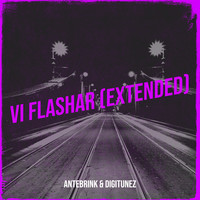 Vi flashar (Extended)