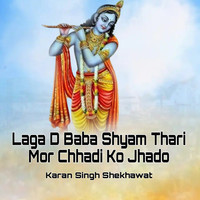 Laga D Baba Shyam Thari Mor Chhadi Ko Jhado