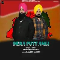 Mera Putt Amli