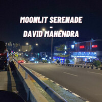 Moonlit Serenade