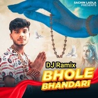 Bhole Bhandari (DJ remix)