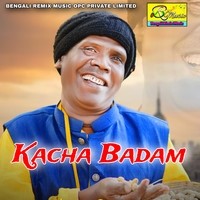 Kacha Badam | কাচা বাদাম MP3 Song Download: Play & Download New Kacha ...