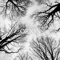 Orion