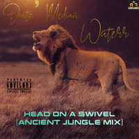 Head on a Swivel (Ancient Jungle Mix)