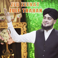 Zeb Zeenat Zulf Thahan