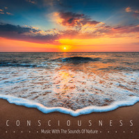 Consciousness