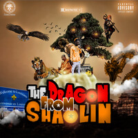 The Dragon from Shaolin