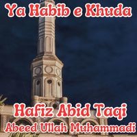 Ya Habib e Khuda