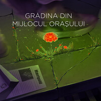 Grădina Din Mijlocul Orașului