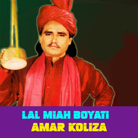 Amar Koliza