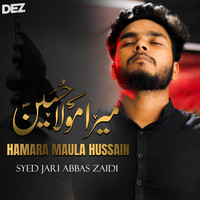 Hamara Maula Hussain