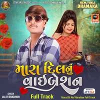 Mara Dil Nu Vibration Full Track