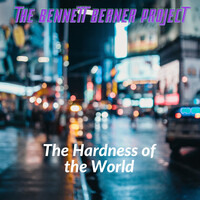 The Hardness of the World