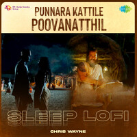 Punnara Kattile Poovanatthil - Sleep Lofi