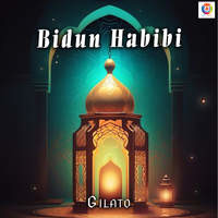 Bidun Habibi