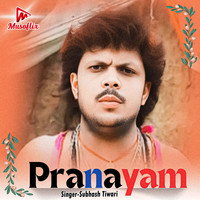 Pranayam