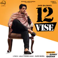 12 Vise Remix