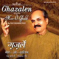 Ghazalen: Meer - O - Ghalib