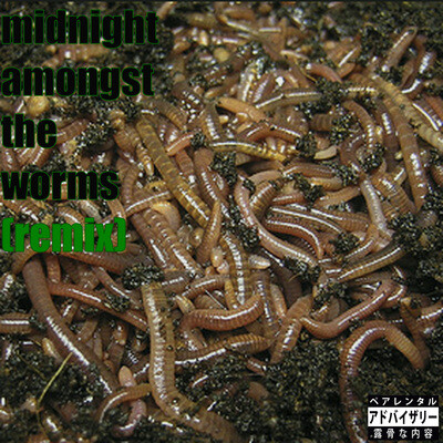 midnight amongst the worms (remix)