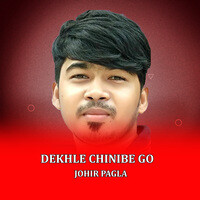 Dekhle Chinibe Go