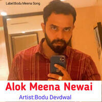 Alok Meena Newai