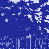 Seven Hour Flower