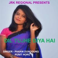 Dil Tujhe Diya Hai ( Nagpuri Song )